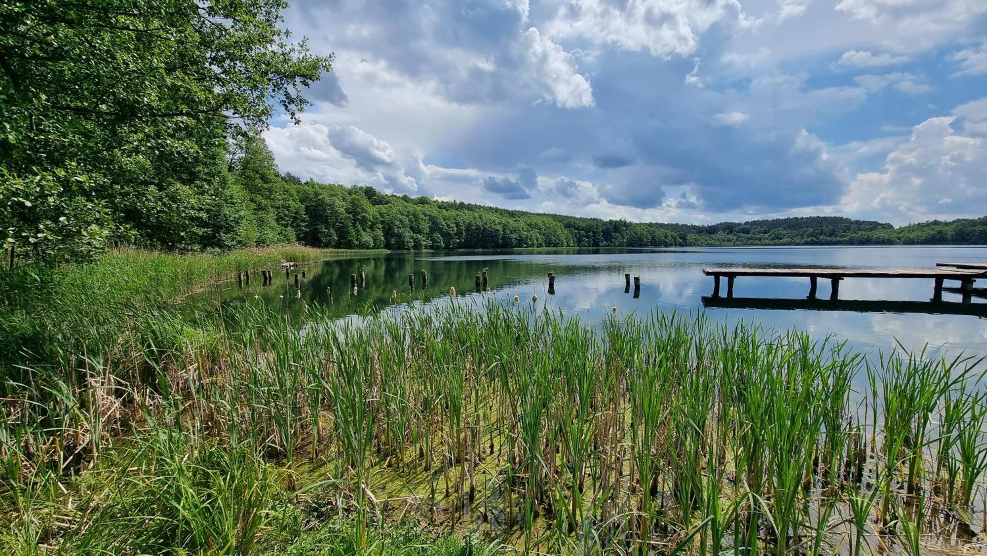 Ferienpark Osrodek La La - Letniskowe W Lesie Nad Jeziorem Bytnica